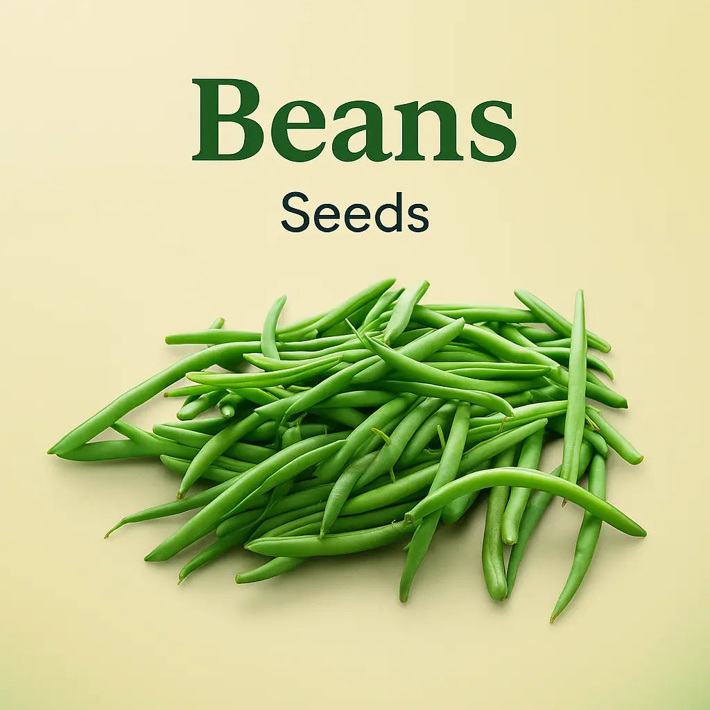 Beans seeds (20 seeds)