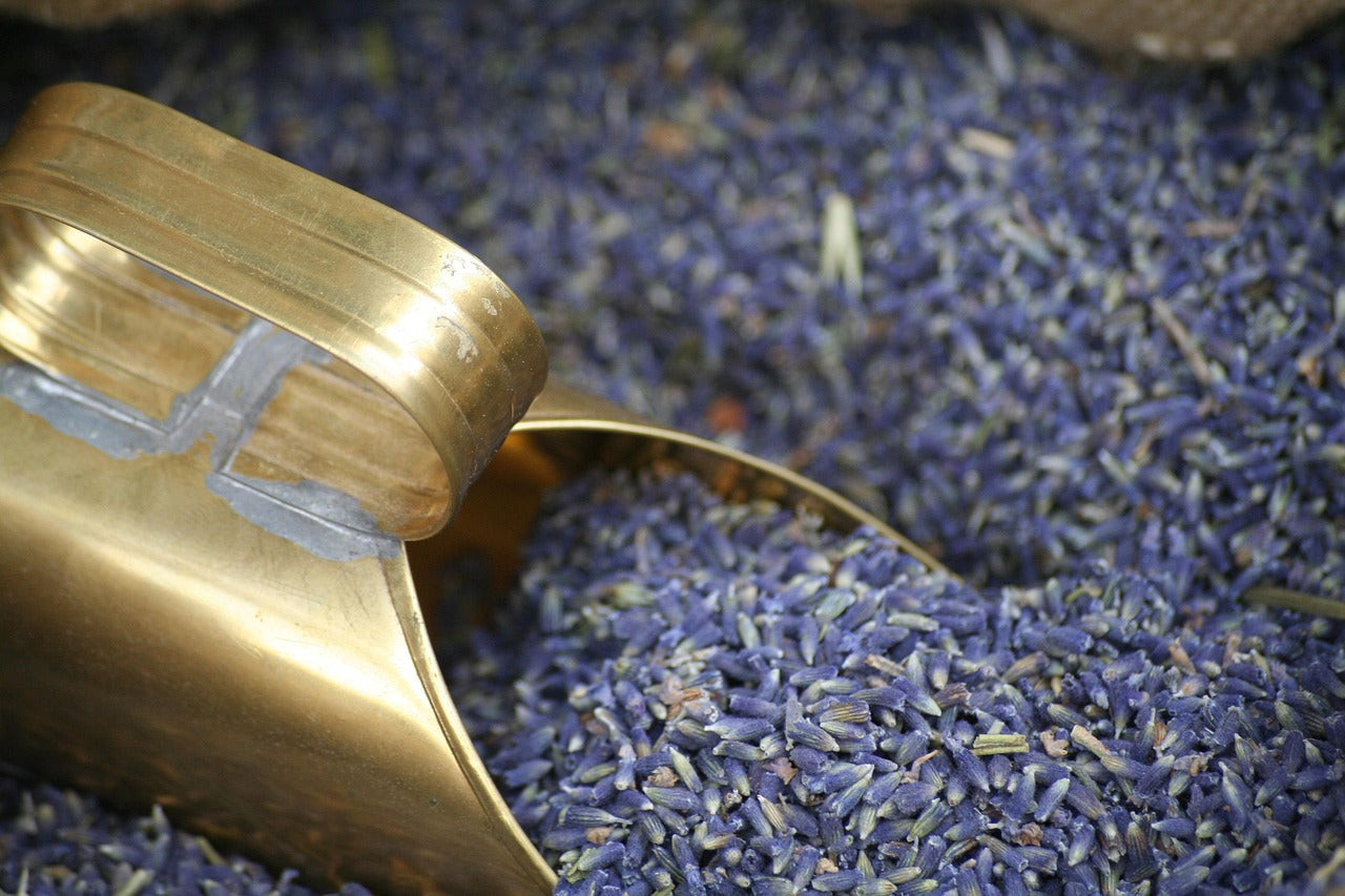Lavender Seeds (100 Seeds)
