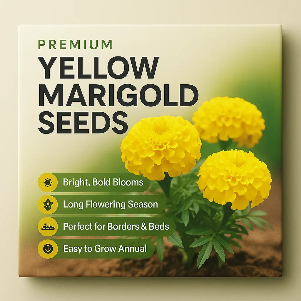 Yellow Marigold Seeds (Pack of 10)