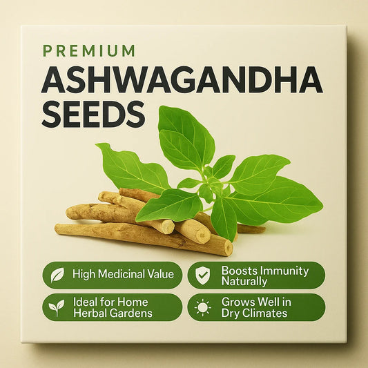 Ashwagandha Seeds (Pack of 10)