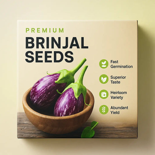 Brinjal Seeds (Desi) (100 Seeds)