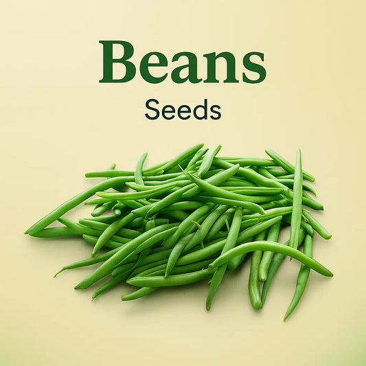 Beans seeds (20 seeds)