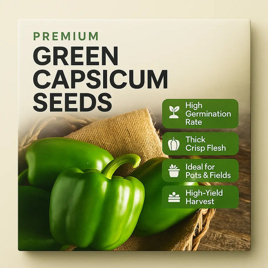 Capsicum Green Seeds (Pack of 10)