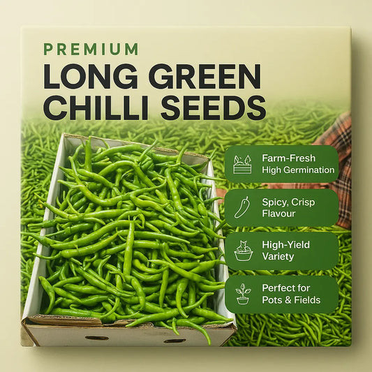 Chilli Long Green Seeds (Pack of 20)