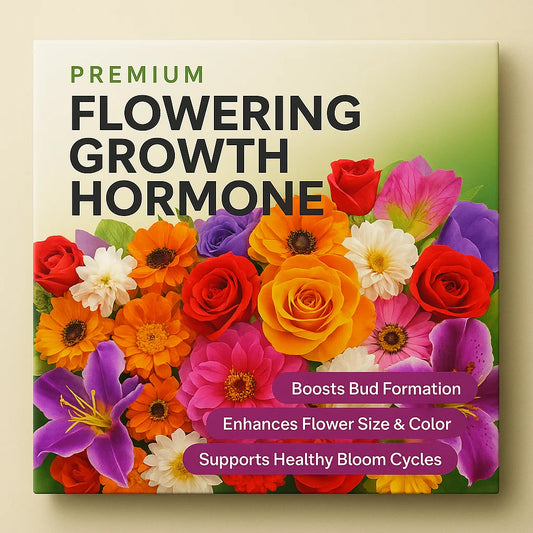 🌸 Flowering Hormone – Flowers Booster (5gms)