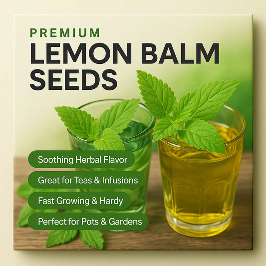 Lemon Balm Seeds (Pack of 10)