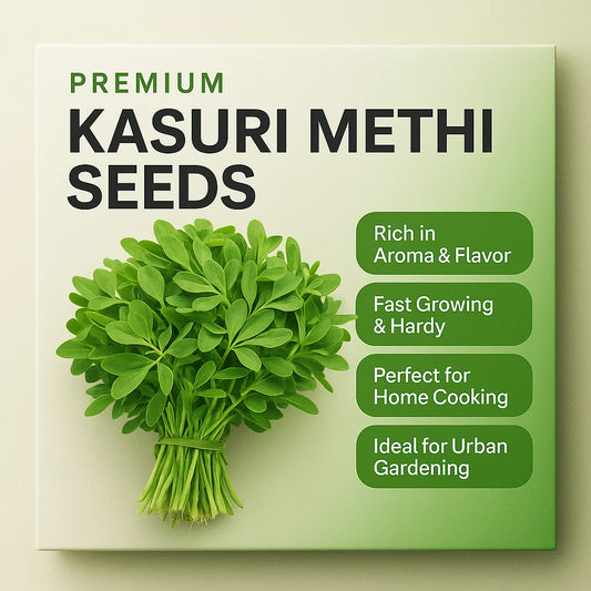 Microgreen Kasuri Methi Seeds (Pack of 10)
