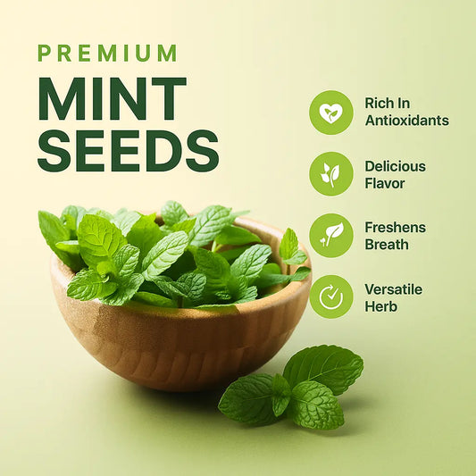 Fresh Mint Seeds (50 Seeds)