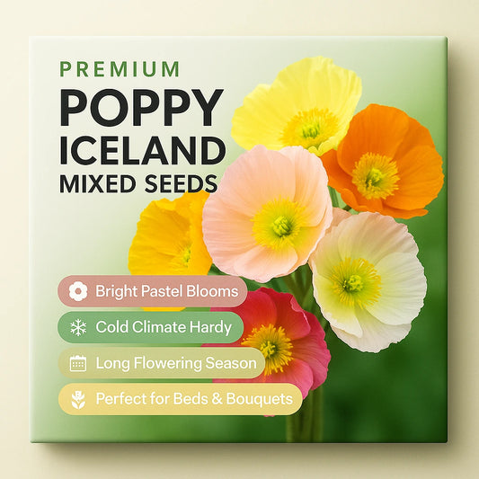 Poppy Iceland Mix Seeds (Pack of 30)