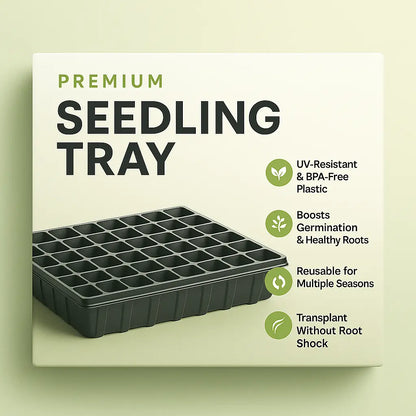 🌱 Home Grower Starter Kit (Rosemary + Brinjal Seeds + Premium Seedling Tray)